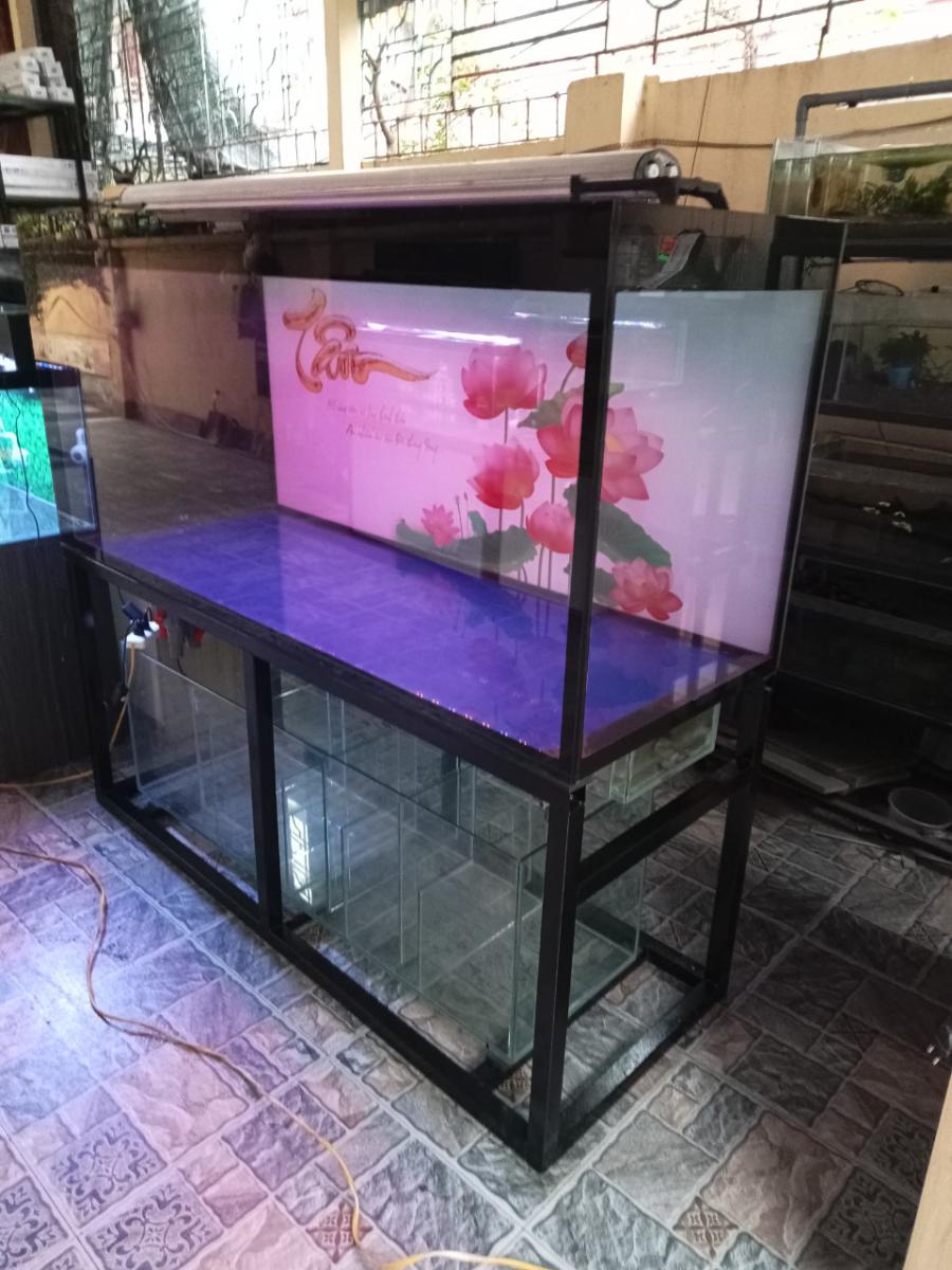 Chân Sắt Bể Cá 120*70*40cm Hải Phòng.
